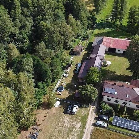 Maciejowka Gospodarstwo Agroturystyczne Poddebice Dış mekan fotoğraf
